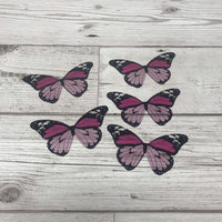 Butterfly wings - pink and black acetate butterfly wings