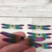 Dragonfly wings for needle felting and craft projects. 6 pairs of acetate insect wings rainbow wings