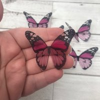 Butterfly wings - pink and black acetate butterfly wings