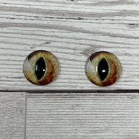 Brown / yellow glass eye cabochons in sizes 8mm to 40mm cat eyes dragon iris animal eyes (481)